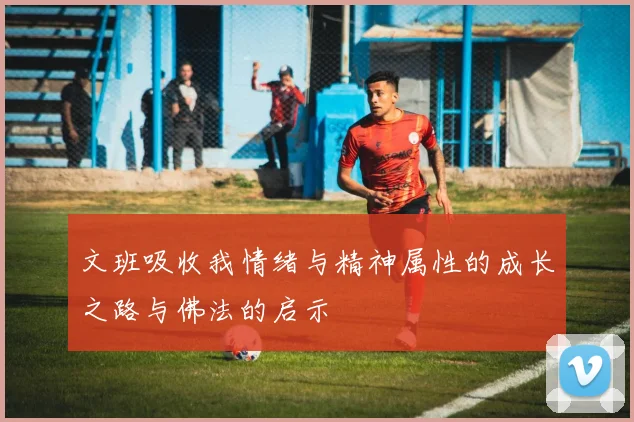 文班吸收我情绪与精神属性的成长之路与佛法的启示